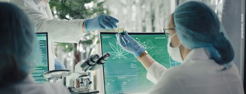 cannabis_istock-1318680802