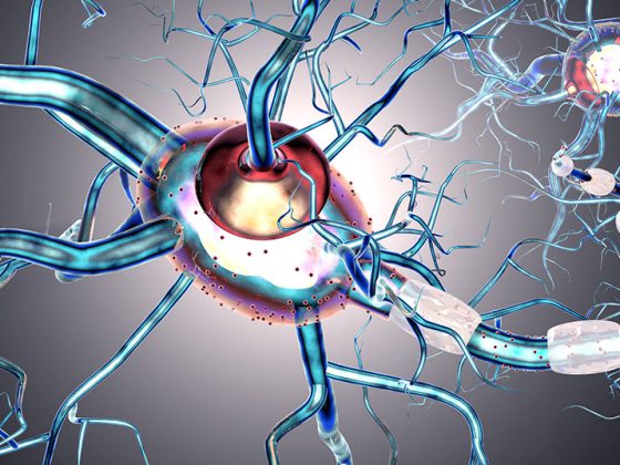 nerven_istock-697998588