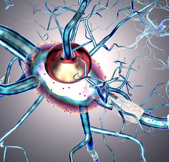 nerven_istock-697998588