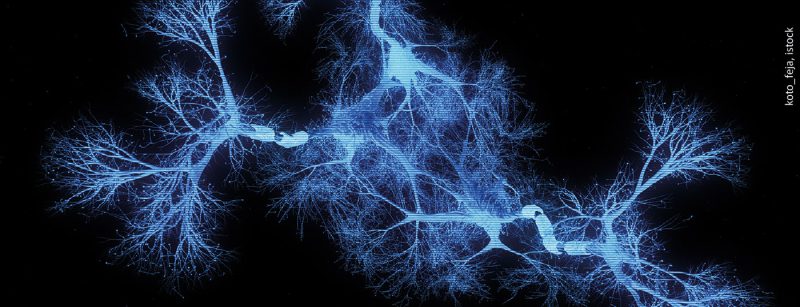 neuronen_nerven_istock-1317818866