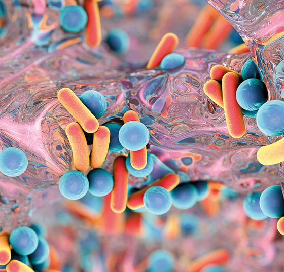 bakterien_mrsa_istock-615888618