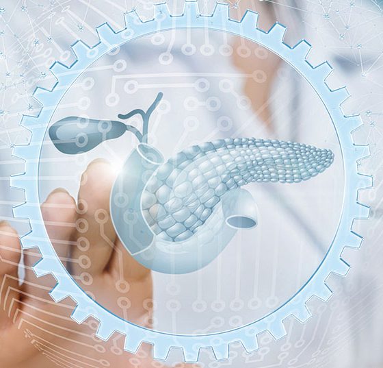 bauchspeicheldruese_istock-1163783267