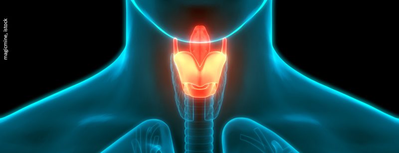 kehlkopf_istock-1227365847