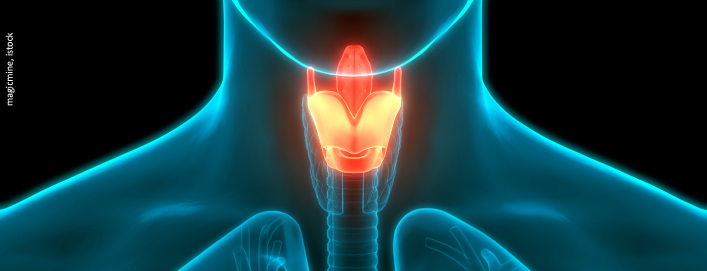 kehlkopf_istock-1227365847