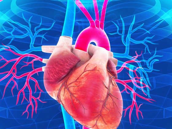 herz_istock-533696142