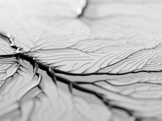 istock-1189729378_0-1