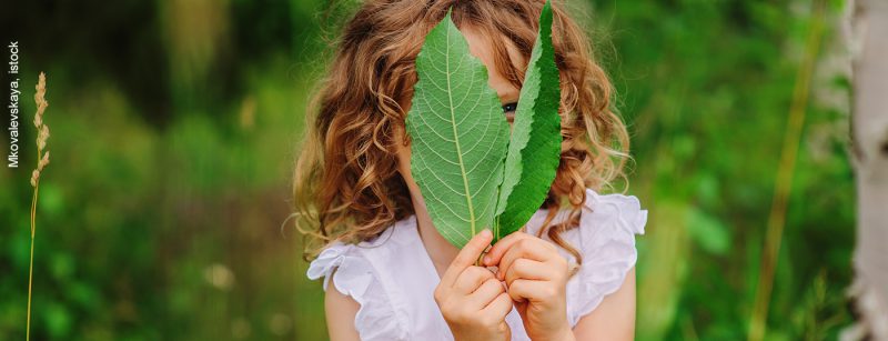 kind_baum_istock-493999116