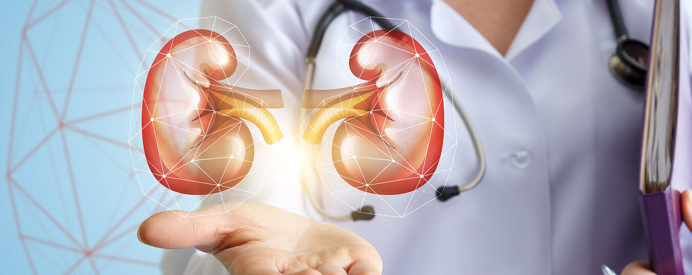 niere_istock-650717506