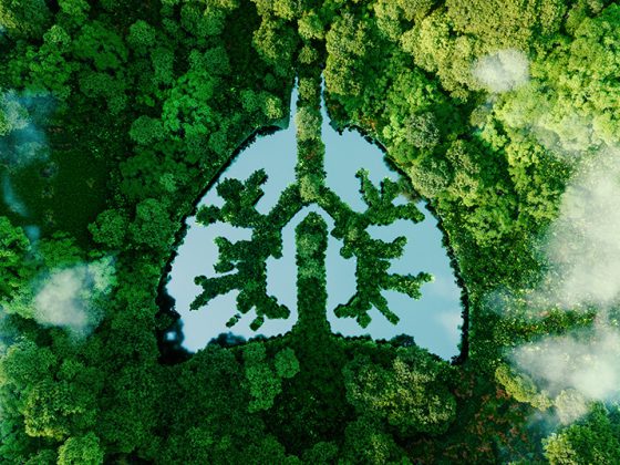 lunge-natur_istock-1341615616