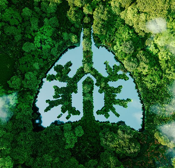 lunge-natur_istock-1341615616