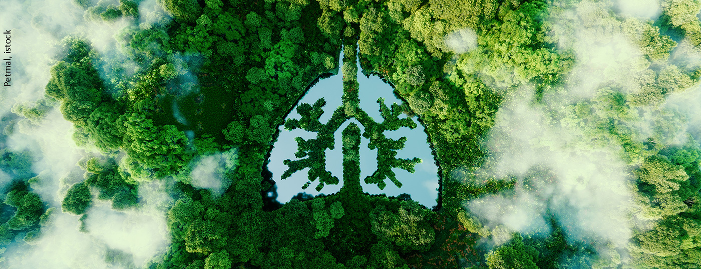 lunge-natur_istock-1341615616